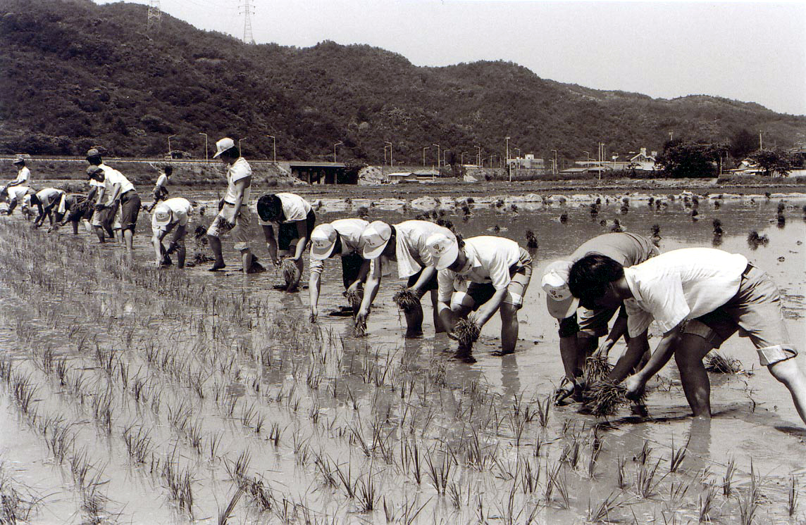 1989년도 하남시 관련사진 의 사진8