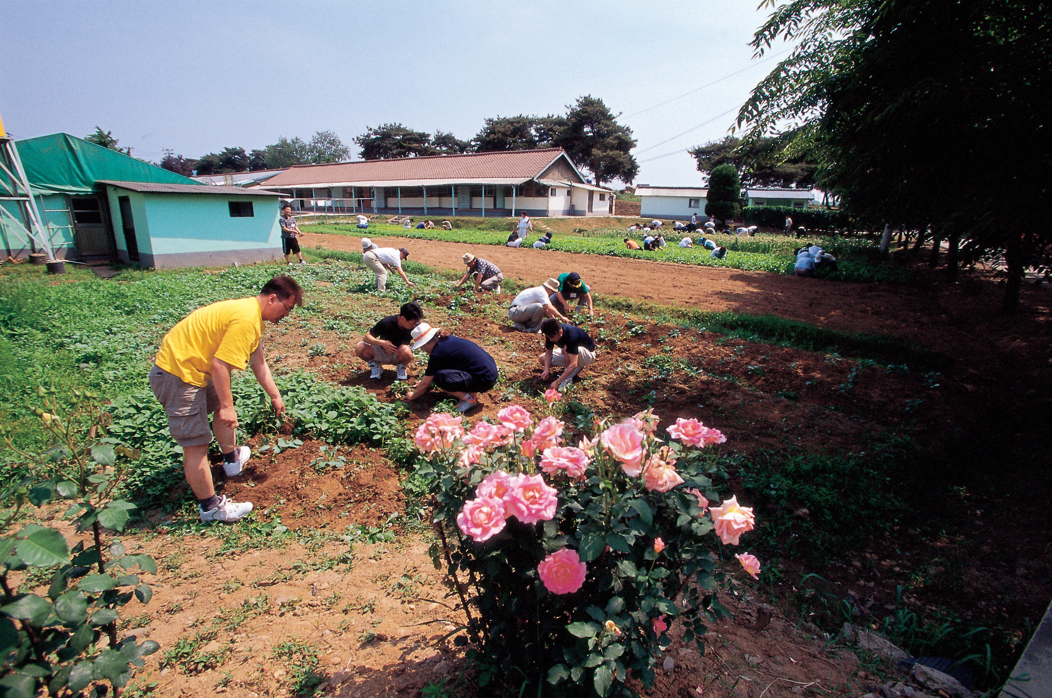 가나안농군학교