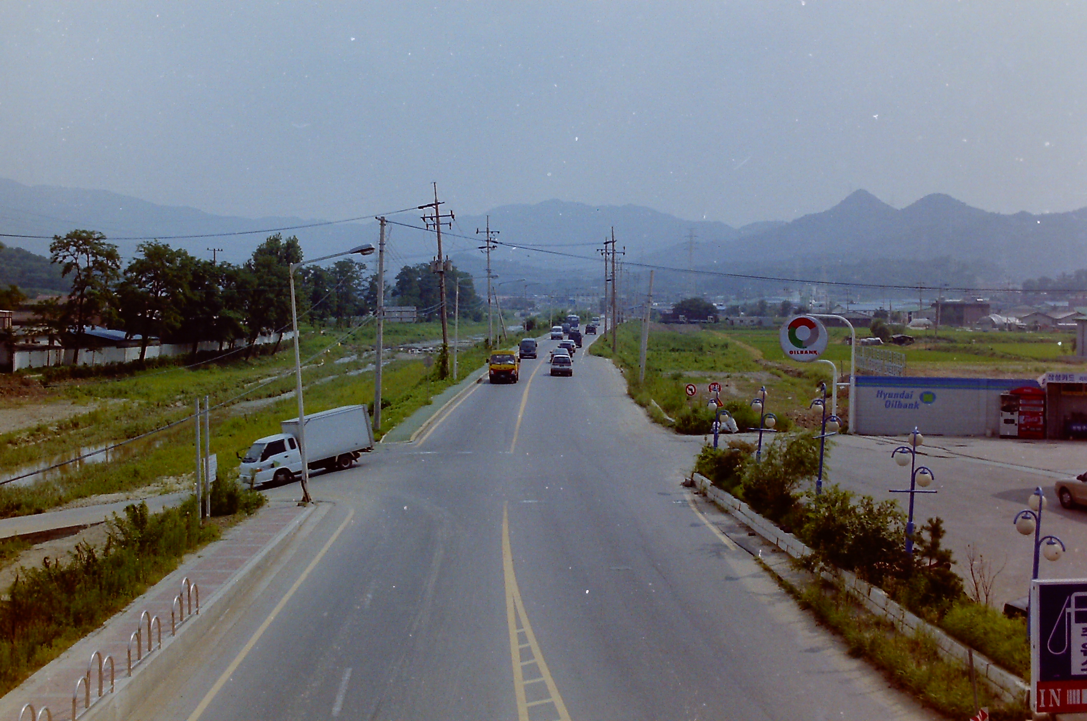 2001년 춘궁동 중앙차로 은행나무 전경