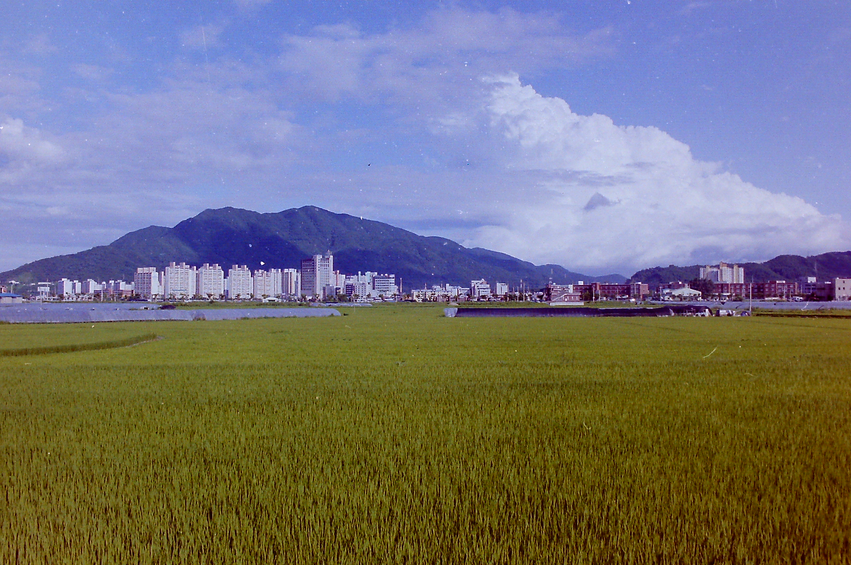 2001년 검단산