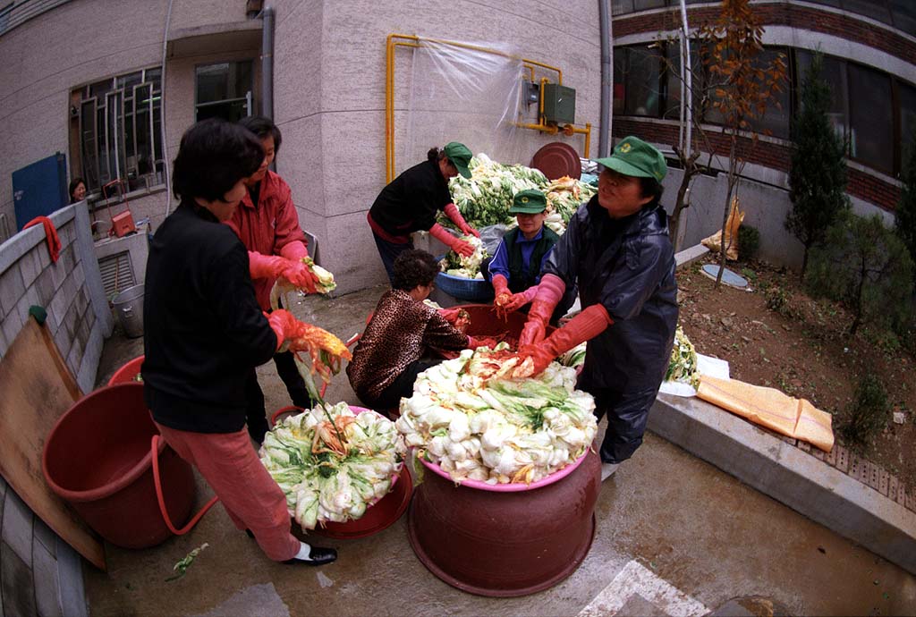신장1동 김장담그기