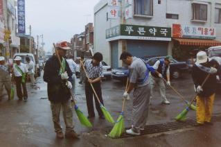 국토 대청결운동