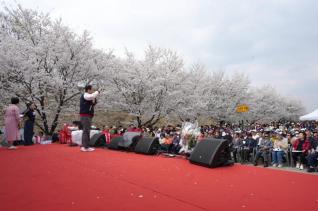 2026 하남 봄봄 문화축제 의 사진3