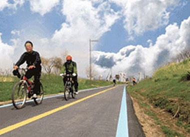 Green Way(林荫道路)