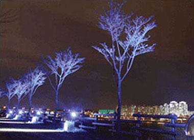 汉江边主题散路