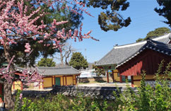 广州乡校(文化遗产材料)