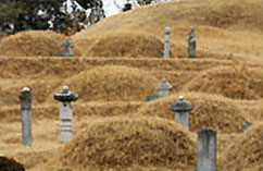 宣城君墓域以及石雕(乡土遗迹)