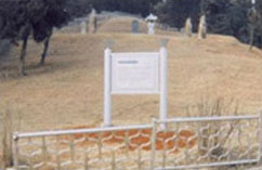 朴姜墓域及石雕(乡土遗迹)