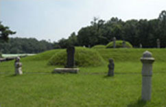 烈女完山李氏墓域及石雕(乡土遗迹)