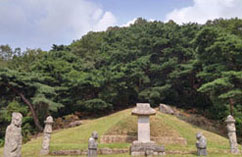 俞泓墓地及石雕(乡土遗迹)