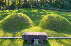咸平李氏捕将公墓地及石雕(乡土遗迹)