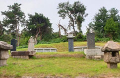 安山金氏莲城君墓地及石雕(乡土遗迹)