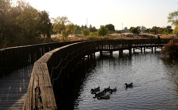 Hangang River Eco Park image