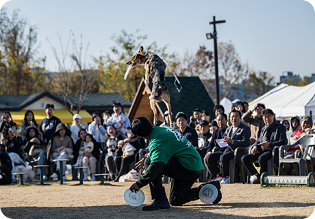반려견 놀이터 신규 개장