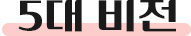 5대비전