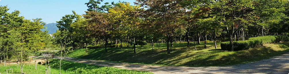 나무 고아원 사진1