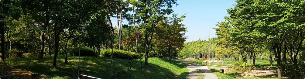 나무 고아원 사진2