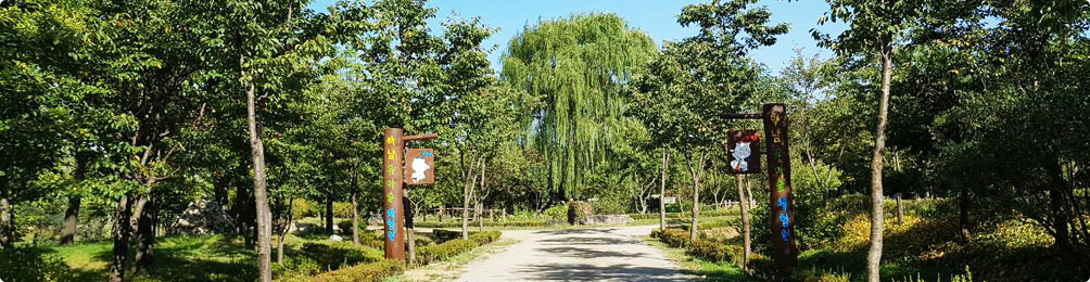 나무 고아원 사진3