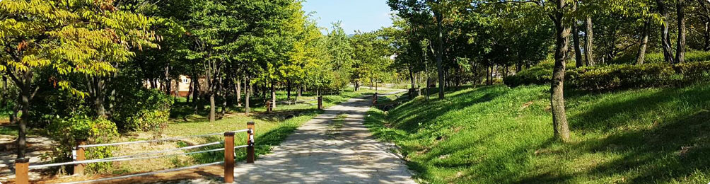 나무 고아원 사진4